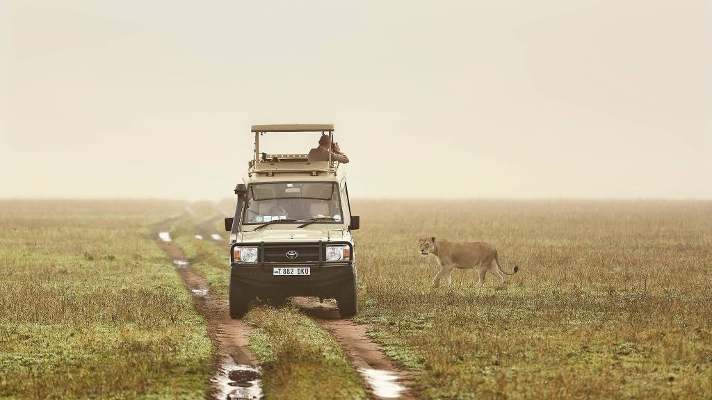 3 Day Tanzania Lodge Safari Tarangire & Ngorongoro Crater