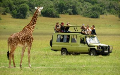 7 Days Private Family Safari Experience in Tanzania