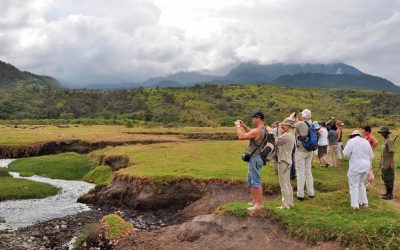 9 Day Tanzania Game Drives And Walking Safari Tour