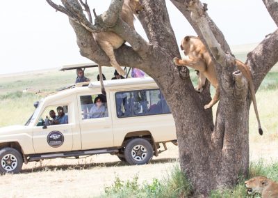 Serengeti National Park