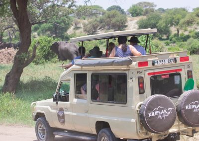 Tarangire National park